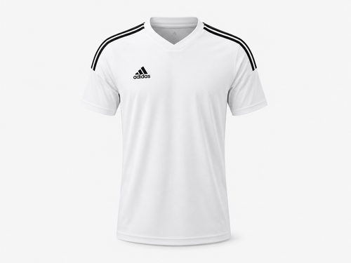 Teamsport